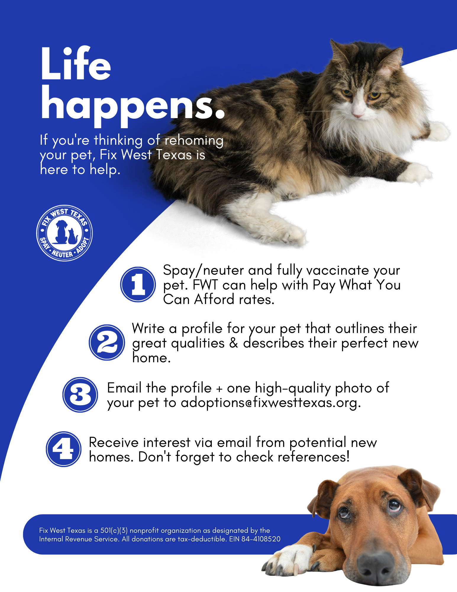 home-to-home-adoptions-cats-fix-west-texas