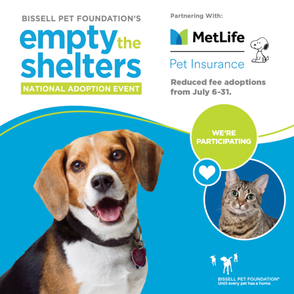 Empty the Shelters Month Fix West Texas